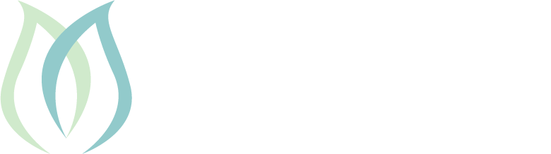 MintHome One-Stop Home Services